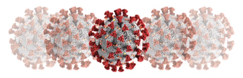 covid-19 virus